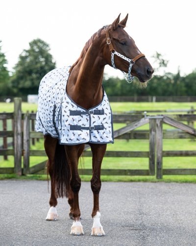 Derka siatkowa Stable buddy Dachshund SS26 - QHP - PONY 