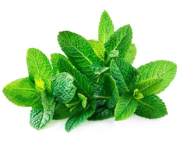 Mięta 3 kg - EQUIHERBS 