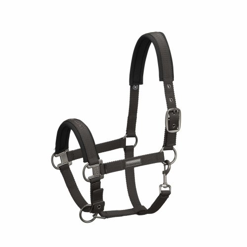 Kantar PIN BUCKLE Essence 2022 - Eskadron - darkolive