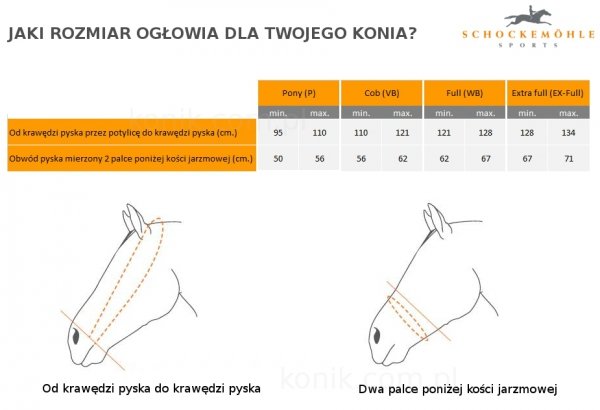 Ogłowie anatomiczne EQUITUS ALPHA - Schockemohle
