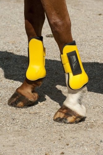 Ochraniacze Norton Pro - komplet na 4 nogi - Norton Pony