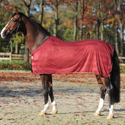 Derka siatkowa STRIPE - Kavalkade