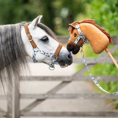 Hobby Horse - QHP