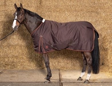 Derka padokowa 100g 600D THOR - Harry's Horse - bracken