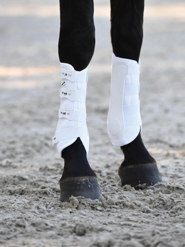Ochraniacze ujeżdżeniowe DRESSAGE PRO-MESH - BUSSE