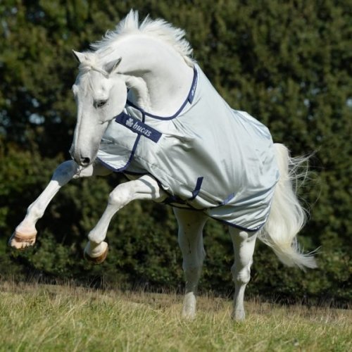 Derka padokowa 150g POWER TURNOUT MEDIUM - Bucas - silver