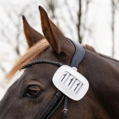 Numerek startowy Modeste - QHP