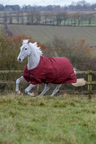 Derka padokowa 150g 600D FREEDOM TURNOUT - Bucas - cherry