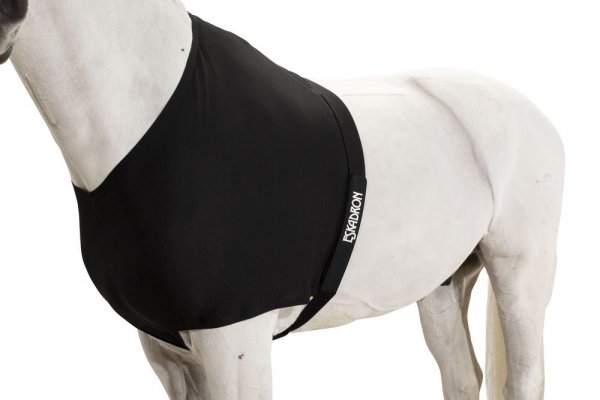 Koszulka pod derkę CHEST PROTECTOR DynAirMesh Basic - Eskadron - black