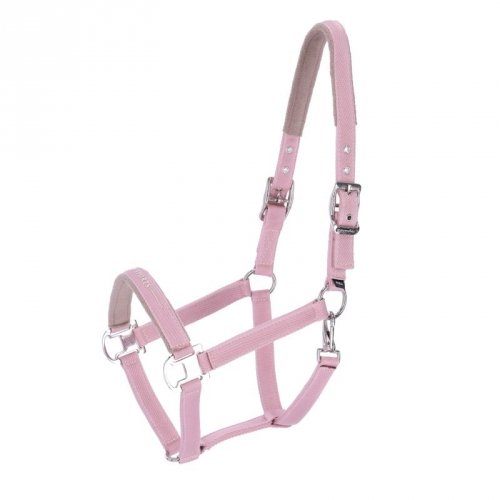 Kantar MEMPHIS III SS26 - Schockemohle - pale pink