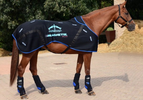 Derka magnetyczna - Veredus - black