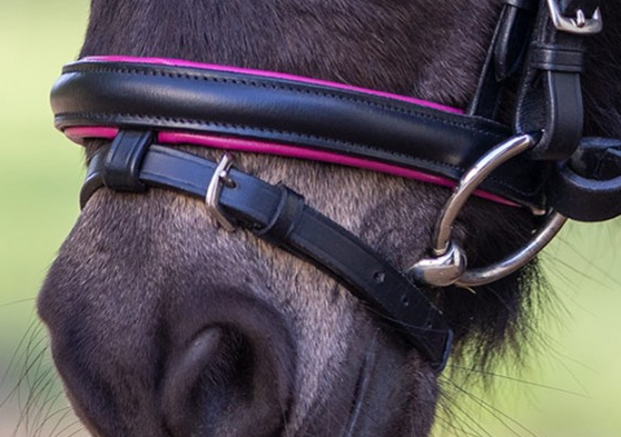 Ogłowie PINKY - STAR