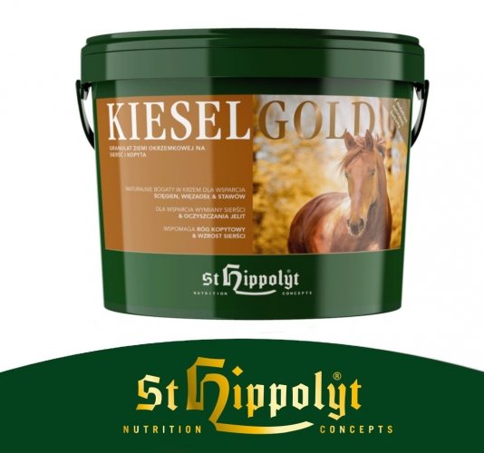KieselGOLD krzem 4kg - St. Hippolyt - granulat