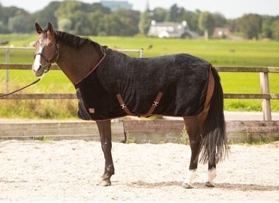 Derka osuszająca LouLou - Harry's Horse - jet-black
