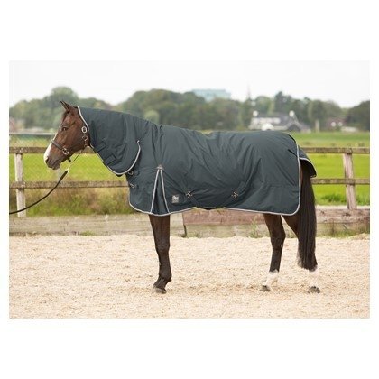 Derka padokowa z kołnierzem 200g 600D - Harry's Horse