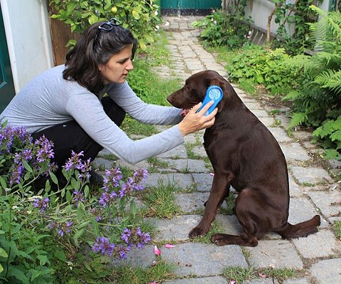 Szczotka dla psa MAGIC BRUSH DOG