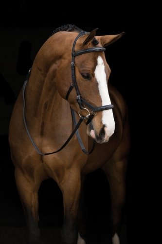 Ogłowie anatomiczne Rambo Micklem Deluxe - Horseware