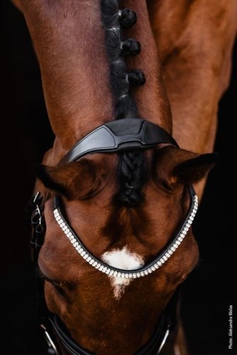 Ogłowie ISABELL WERTH Johnny - Schockemohle