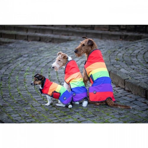 Derka dla psa Rain Coat - Spooks - rainbow 