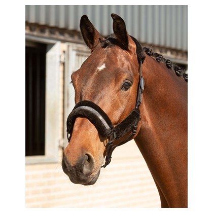 Zestaw kantar + uwiąz Denici Cavalli Stardust Soft  - Harry's Horse