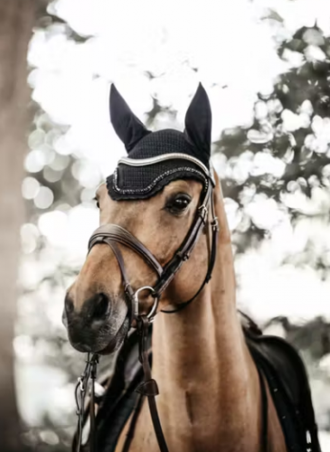 Nauszniki Wellington Stone &amp; Pearl - Kentucky - black