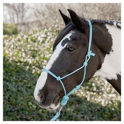 Kantar sznurkowy - Harry's Horse 