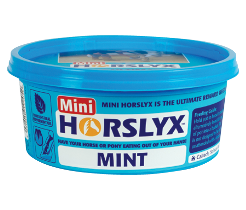 Lizawka smakowa MINI 650g - Horslyx MINT