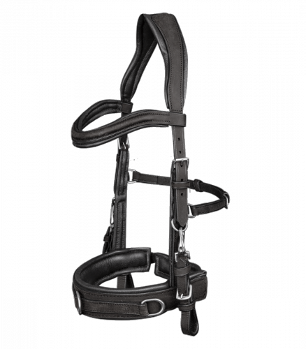 Kawecan skórzany Anatomic - Waldhausen