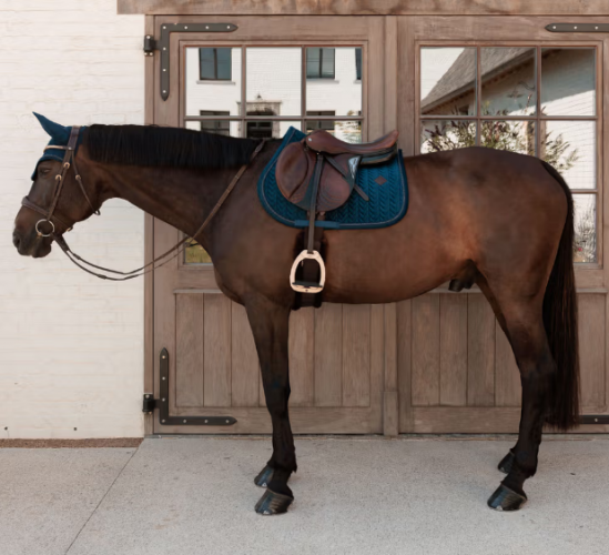 Potnik Velvet Mini Peals - Kentucky - navy