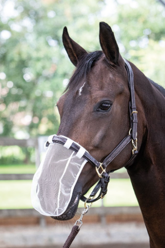 Siatka na nos do jazdy - Harry's Horse