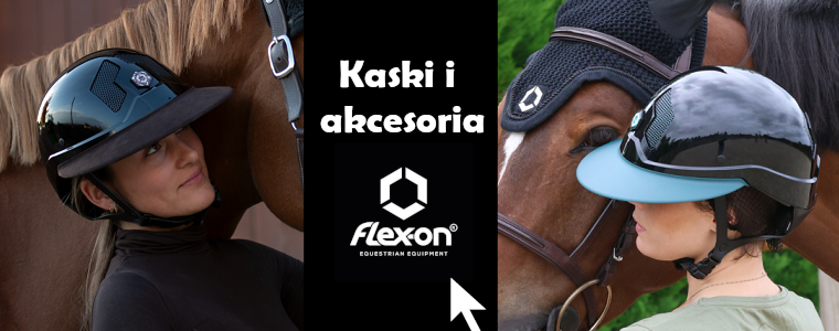 https://konik.com.pl/q/?keywords=armet