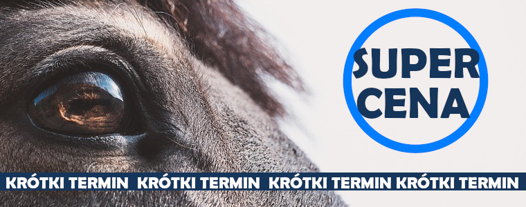 https://konik.com.pl/c/890/krotki-termin-promocje.html
