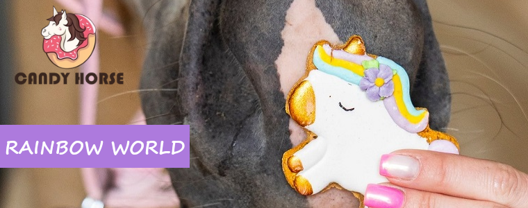 https://konik.com.pl/q/?keywords=rainbow%20world