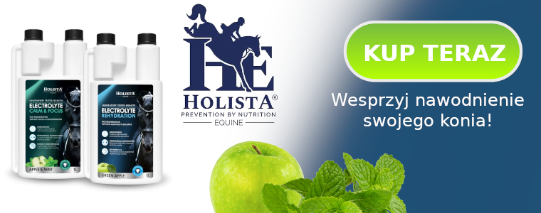 https://konik.com.pl/q/?keywords=elektrolity+holista