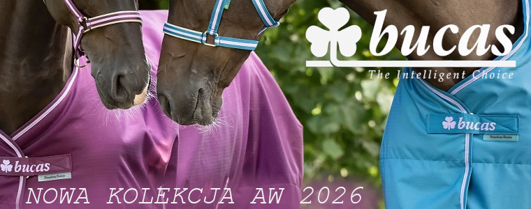 https://konik.com.pl/q/?keywords=bucas%20aw%2026