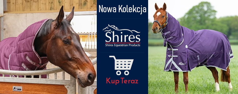 https://konik.com.pl/q/?keywords=shires%20aw26