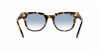 OKULARY RAY-BAN® METEOR RB 2168 13323F 50 ROZMIAR M