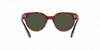 OKULARY PERSOL® PO 3287S 24/31 51 ROZMIAR M
