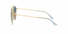 OKULARY RAY-BAN® ROUND RB 3647N 91233M 51 ROZMIAR M