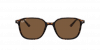 OKULARY RAY-BAN® LEONARD RB 2193 902/57 55 ROZMIAR M Z POLARYZACJĄ