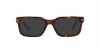 OKULARY PERSOL® PO 3272S 24/48 55 ROZMIAR M Z POLARYZACJĄ