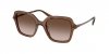 OKULARY SWAROVSKI SK 6040 106713 50 ROZMIAR M