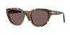 OKULARY PERSOL® PO 3379S 105253 51 ROZMIAR M