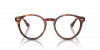 OKULARY KOREKCYJNE RAY-BAN® LARRY RX 7680V 2144 49 ROZMIAR S