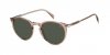 OKULARY DAVID BECKHAM DB 1139S 8XO 51 ROZMIAR M