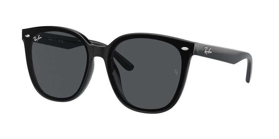 OKULARY RAY-BAN® RB 4423D 601/87 66 ROZMIAR L