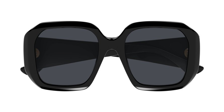 OKULARY CHLOE CH 0300S 001 54 ROZMIAR M