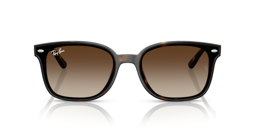 OKULARY RAY-BAN® RB 4461D 710/13 64 ROZMIAR L