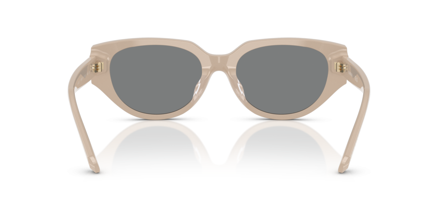 OKULARY SWAROVSKI SK 6035D 106887 54 ROZMIAR M