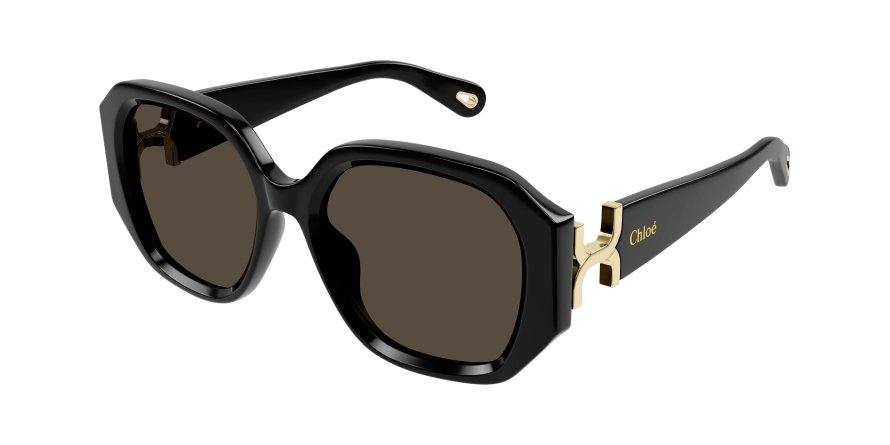 OKULARY CHLOE CH 0236S 001 56 ROZMIAR M